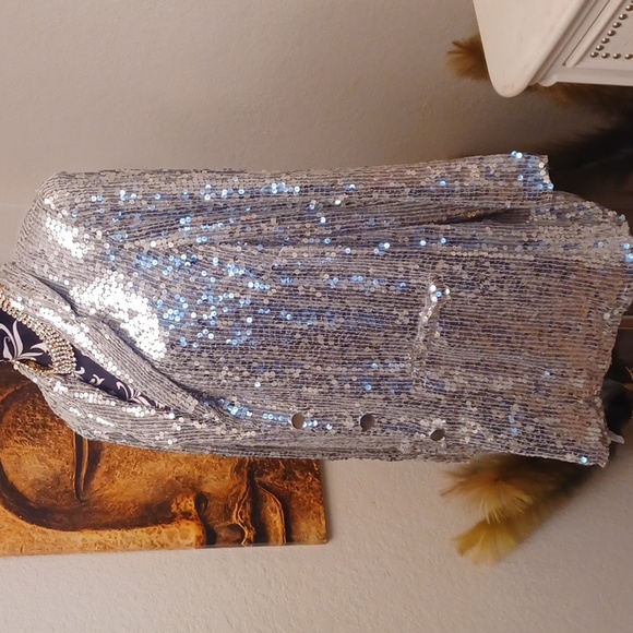 Silver Sequin Jacket - Picture 2 of 6